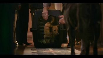 Amazon Super Bowl 2023 TV Spot, 'Saving Sawyer' Song by Nancy Adams - Thumbnail 6