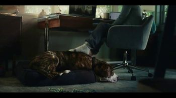 Amazon Super Bowl 2023 TV Spot, 'Saving Sawyer' Song by Nancy Adams - Thumbnail 2