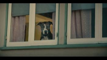 Amazon Super Bowl 2023 TV Spot, 'Saving Sawyer' Song by Nancy Adams - Thumbnail 3
