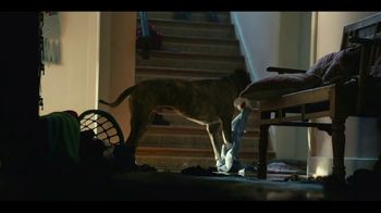 Amazon Super Bowl 2023 TV Spot, 'Saving Sawyer' Song by Nancy Adams - Thumbnail 4