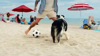 Michelob: Teaser: GOAT vs. DOG