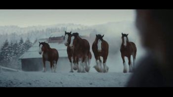 Budweiser: Teaser: The Clydesdales Are Back