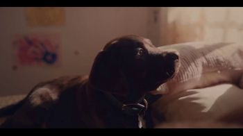 The Farmer's Dog: Forever