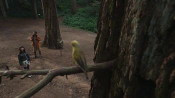 Samsung Galaxy Z Fold6 TV Spot, 'Land of the Birds'