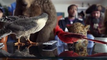 YouTube NFL Sunday Ticket TV TV Spot, 'Sunday Is Football Day'