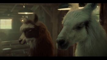 Amazon TV Spot, 'Cyber Monday: Llama Dance' Song by Augie Rios