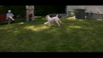 The Farmer's Dog TV Spot, 'Bogart'