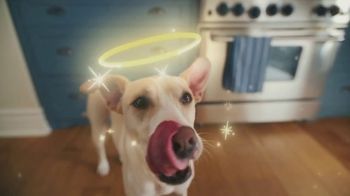 The Farmer's Dog TV Spot, 'No Magic' Song by Valentino