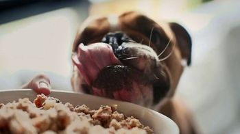 The Farmer's Dog TV Spot, 'Time for a Fresh Approach to Pet Food'