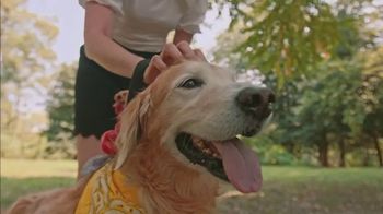 The Farmer's Dog TV Spot, 'Sam'