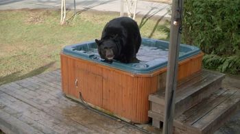 FOX: Bear in a Hot Tub