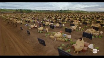 Pluto TV: Couch Potato Farm: Great-Great-Grandfather