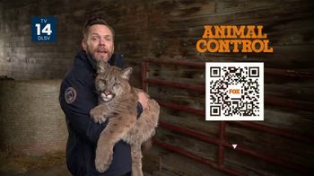 FOX: Cougars In Your Area