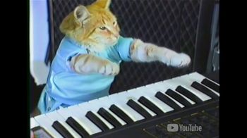 YouTube TV: Keyboard Cat
