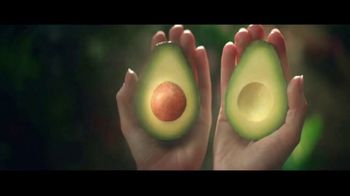 Avocados From Mexico: Teaser: Since Time Began