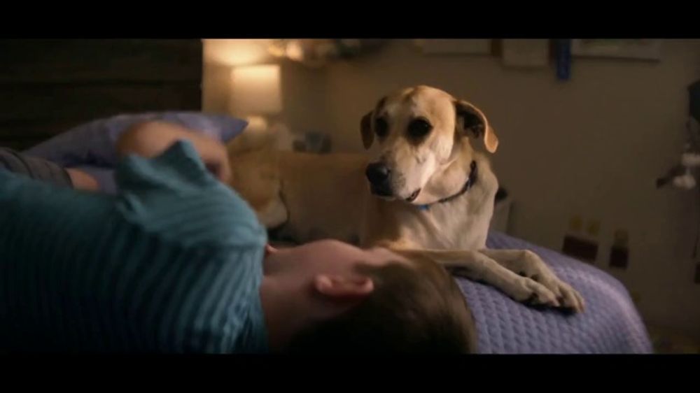 The Farmer's Dog TV Spot, 'Leo: Kids'