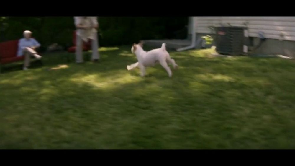The Farmer's Dog TV Spot, 'Bogart'