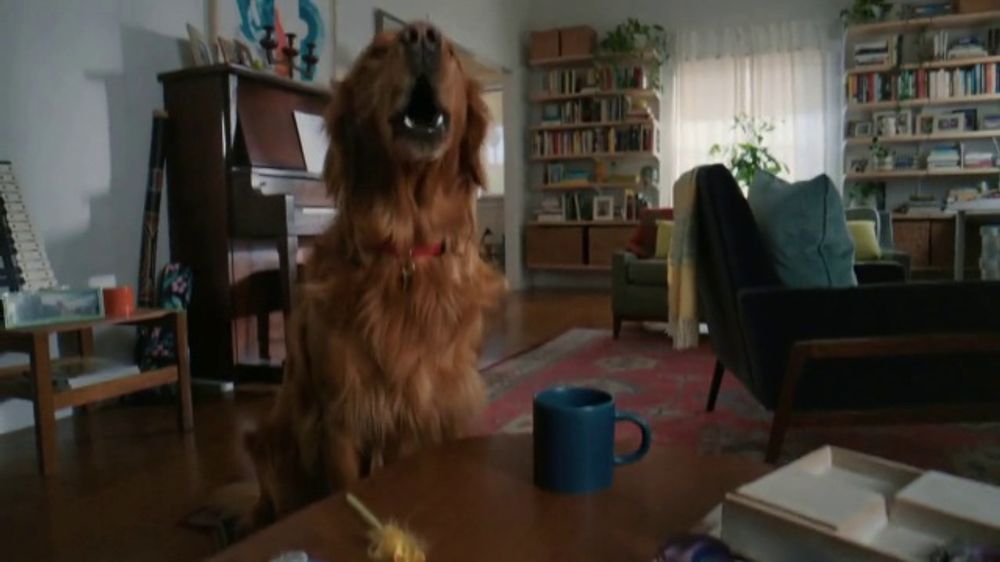 Chewy TV Spot, 'Roo's Food Order'
