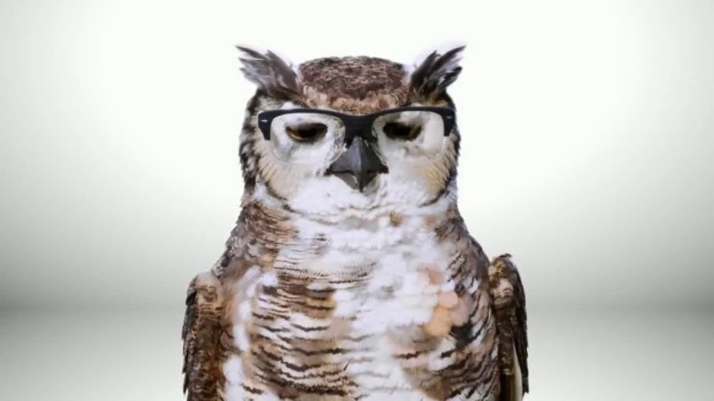 America's Best Contacts and Eyeglasses Wise Buys Sales Event TV Spot, 'Clear: $129.95'