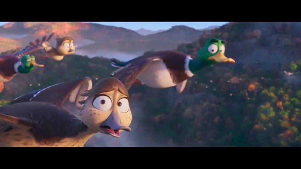 International Bird Rescue TV Spot, 'Migration'