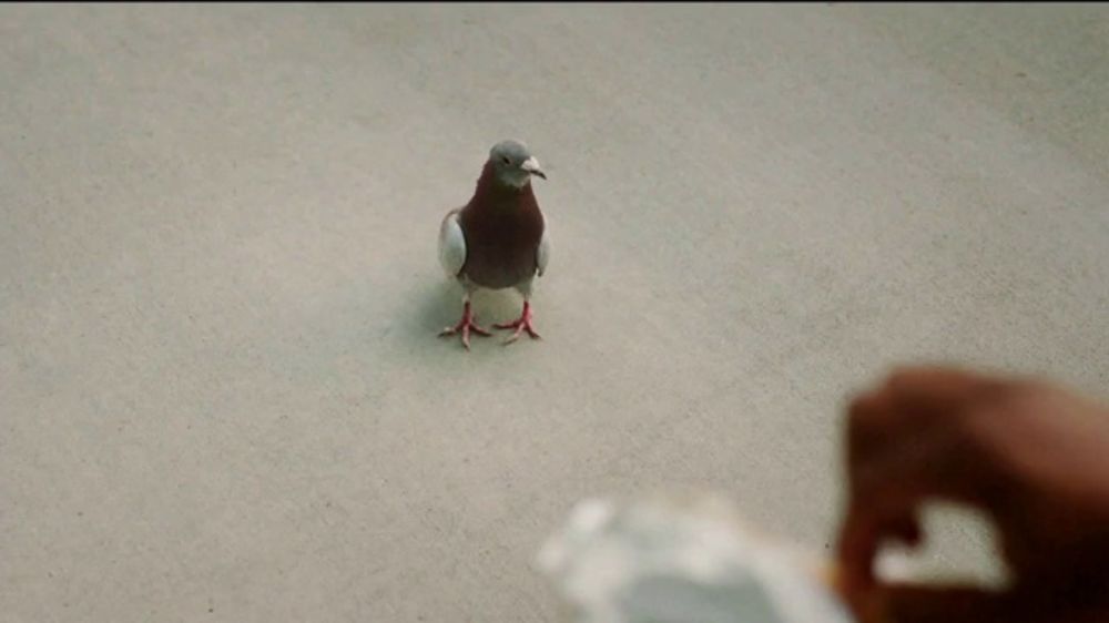 Volkswagen SaVWy Summer Sales Event TV Spot, 'Hot Dog' [T2]