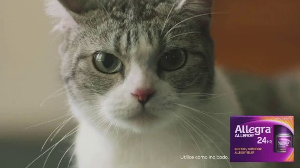 Vive en grande: Children's Allegra thumbnail