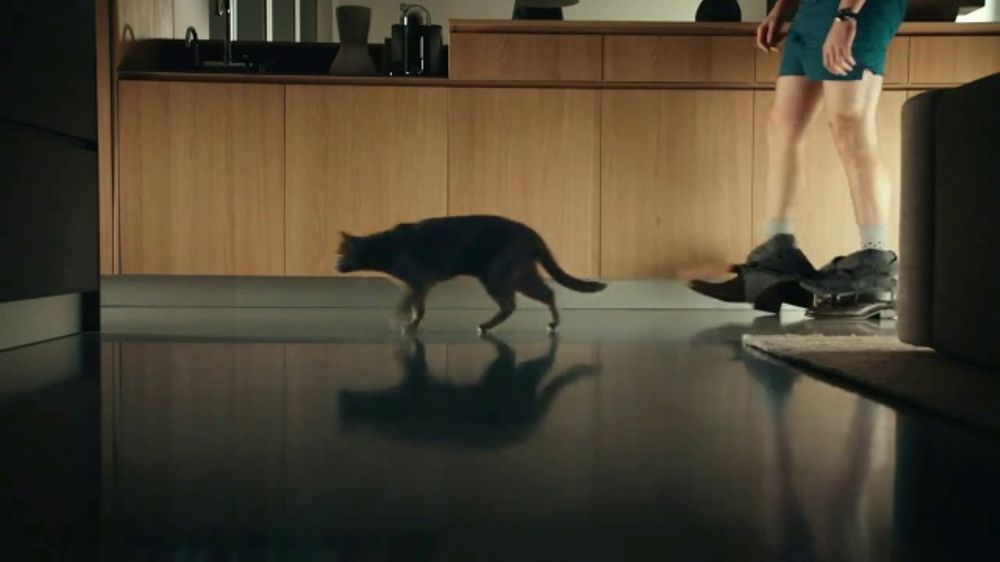 What Cats Want thumbnail