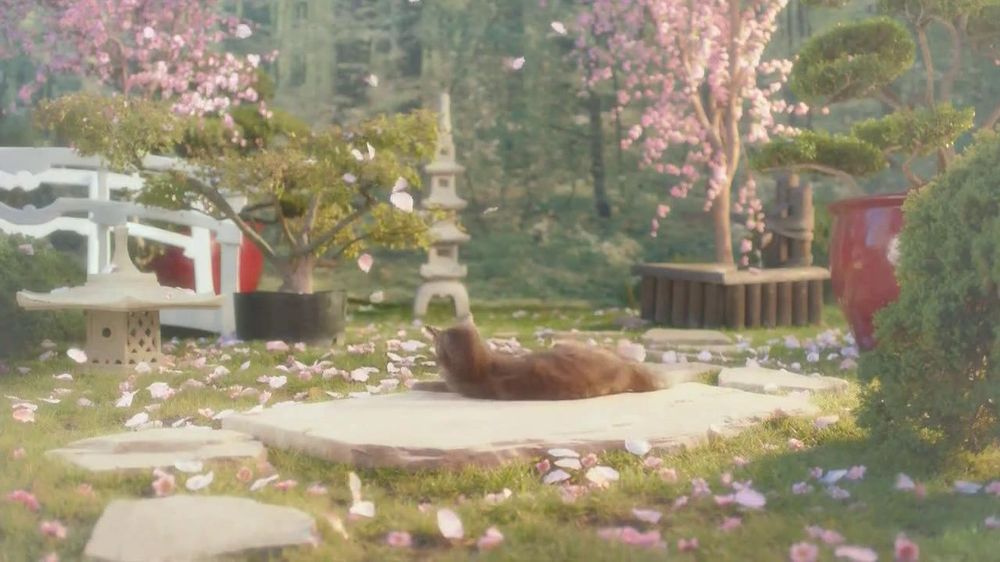 Cat Heaven thumbnail