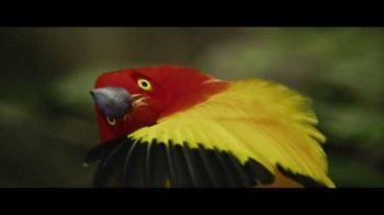 Jeep Super Bowl 2023 TV Spot, 'Electric Boogie' Song by Shaggy [T1] - Thumbnail 2