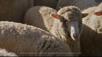 State Farm Super Bowl 2024 TV Spot, 'Like a Good Neighbaaa' Featuring Arnold Schwarzenegger, Danny DeVito - Thumbnail 7