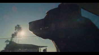 The Farmer's Dog Super Bowl 2023 TV Spot, 'Forever' Song by Lee Fields - Thumbnail 4