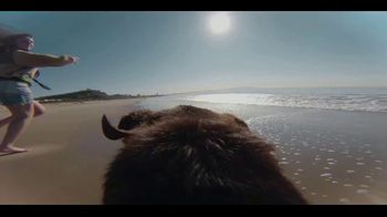 The Farmer's Dog Super Bowl 2023 TV Spot, 'Forever' Song by Lee Fields - Thumbnail 9