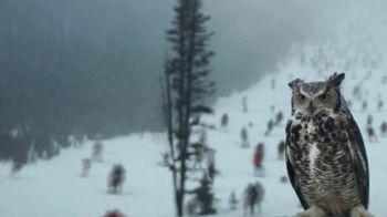 VISA TV Spot, 'Powering Participation' Song by Elvira Rios - Thumbnail 6