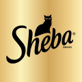 Sheba TV Commercials