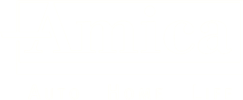 Amica - Auto, Home, Life